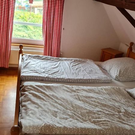 Hotel Kartaeuser Hof Mainz 博登海姆 外观 照片